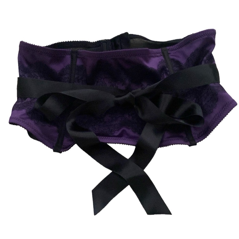 Chantelle Paris Waist Cincher/Garter Belt - Picture 6 of 12